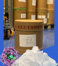L-Glutamine - Глутамин / Глютамин аминокислота в порошке