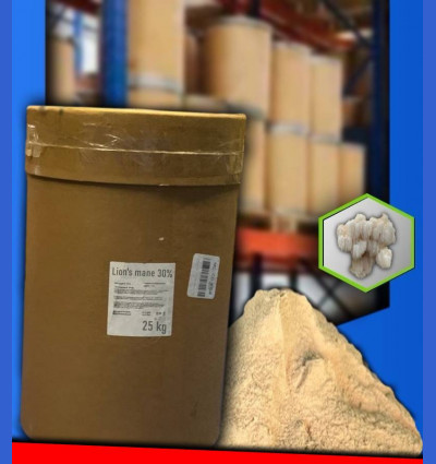 Экстракт ежовика 30% / lions mane / Hericium erinaceus