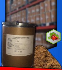 Экстракт гуараны 10%