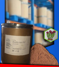 Экстракт Родиолы розовой 10:1