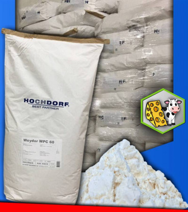 Сывороточный протеин Hochdorf 60